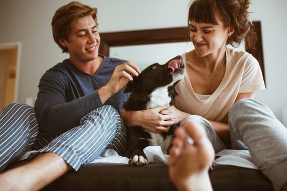 couple jouant avec un chien